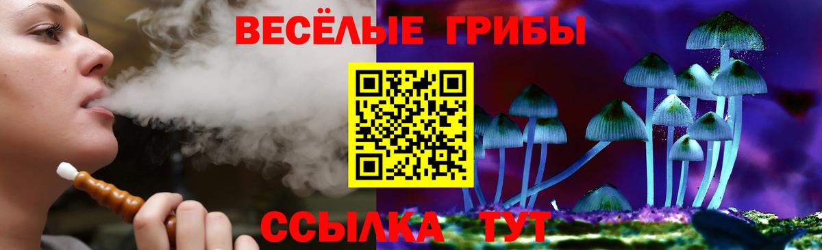 Псилоцибиновые грибы Psilocybine cubensis  Вход с VPN  Орёл  Псилоцибиновые грибы мухоморы 